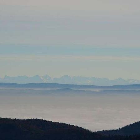 Doller Villa 4 Stars Hot Tub Mountain Ski Ballon D'Alsace 瑟温 外观 照片