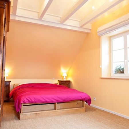 Doller Villa 4 Stars Hot Tub Mountain Ski Ballon D'Alsace 瑟温 外观 照片