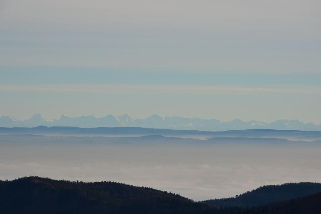Doller Villa 4 Stars Hot Tub Mountain Ski Ballon D'Alsace 瑟温 外观 照片