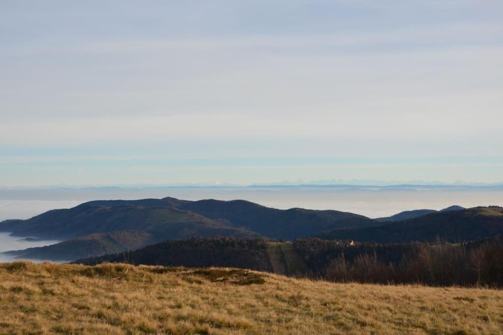 Doller Villa 4 Stars Hot Tub Mountain Ski Ballon D'Alsace 瑟温 外观 照片