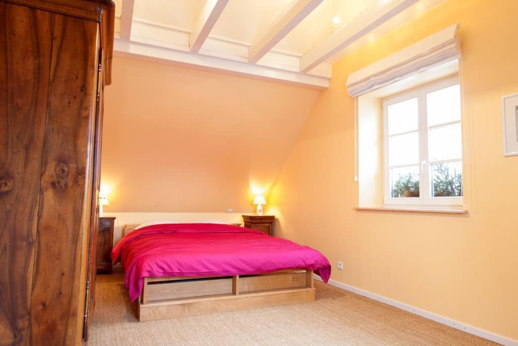 Doller Villa 4 Stars Hot Tub Mountain Ski Ballon D'Alsace 瑟温 外观 照片