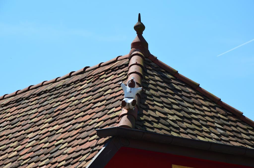 Doller Villa 4 Stars Hot Tub Mountain Ski Ballon D'Alsace 瑟温 外观 照片