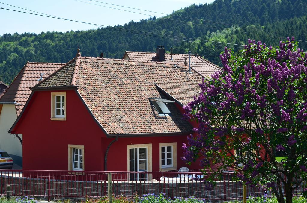 Doller Villa 4 Stars Hot Tub Mountain Ski Ballon D'Alsace 瑟温 外观 照片